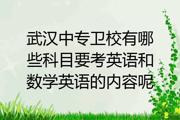 武汉中专卫校有哪些科目要考英语和数学英语的内容呢