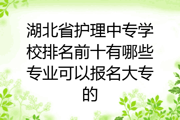 湖北省护理中专学校排名前十有哪些专业可以报名大专的