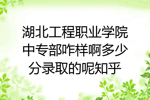 湖北工程职业学院中专部咋样啊多少分录取的呢知乎