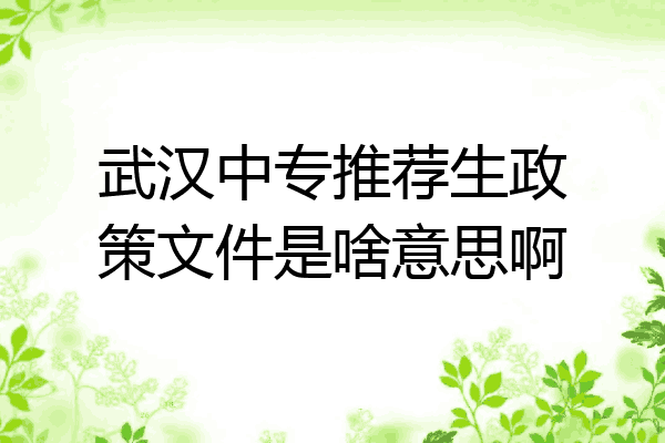 武汉中专推荐生政策文件是啥意思啊