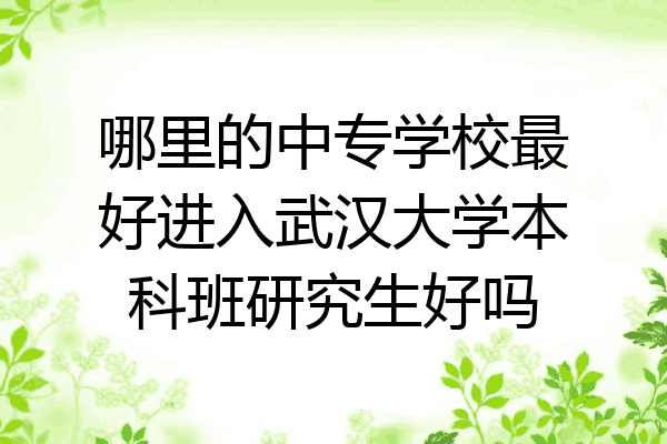哪里的中专学校最好进入武汉大学本科班研究生好吗