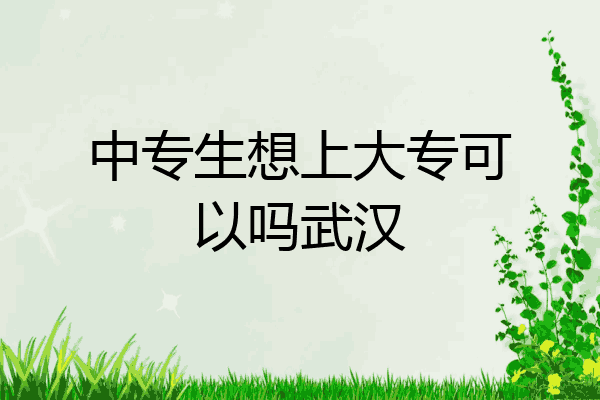 中专生想上大专可以吗武汉