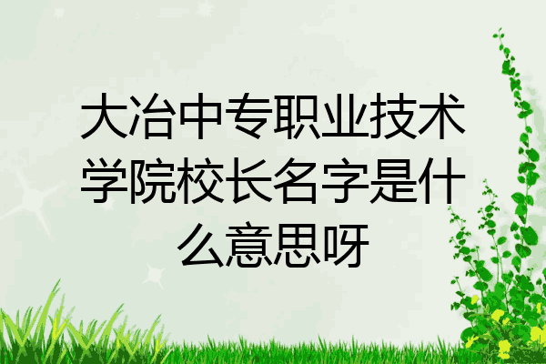 大冶中专职业技术学院校长名字是什么意思呀