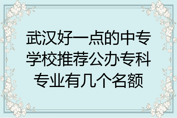 武汉好一点的中专学校推荐公办专科专业有几个名额