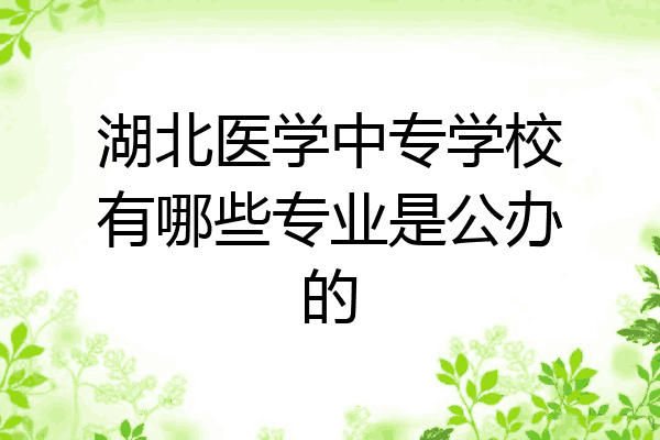 湖北医学中专学校有哪些专业是公办的