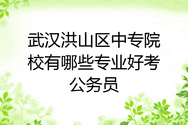 武汉洪山区中专院校有哪些专业好考公务员