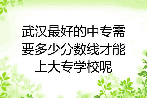 武汉最好的中专需要多少分数线才能上大专学校呢