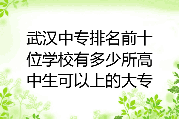 武汉中专排名前十位学校有多少所高中生可以上的大专