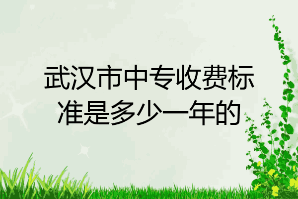 武汉市中专收费标准是多少一年的