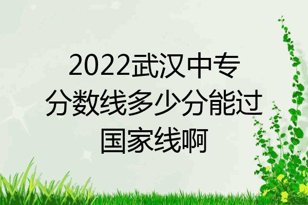 2022武汉中专分数线多少分能过国家线啊