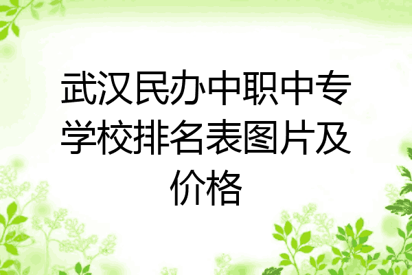 武汉民办中职中专学校排名表图片及价格