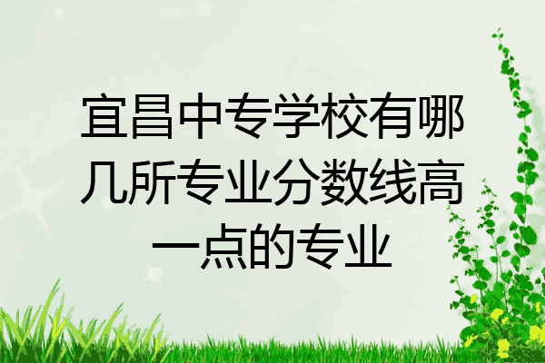 宜昌中专学校有哪几所专业分数线高一点的专业