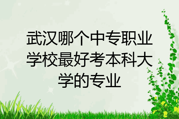武汉哪个中专职业学校最好考本科大学的专业