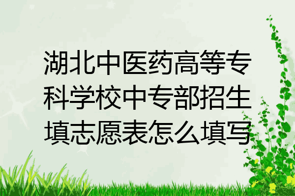 湖北中医药高等专科学校中专部招生填志愿表怎么填写