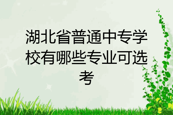 湖北省普通中专学校有哪些专业可选考