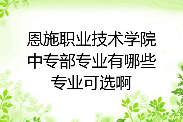 恩施职业技术学院中专部专业有哪些专业可选啊
