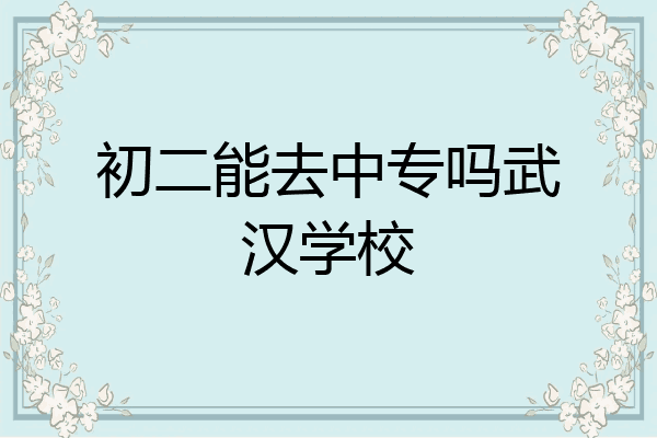 初二能去中专吗武汉学校