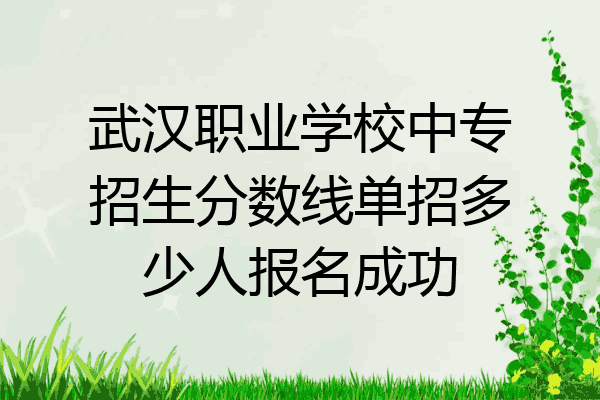武汉职业学校中专招生分数线单招多少人报名成功