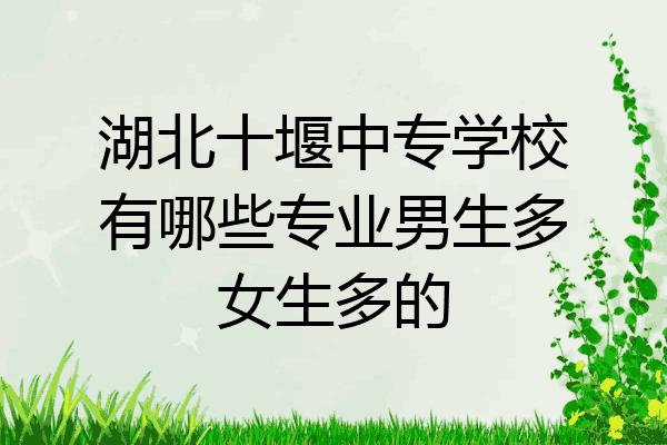 湖北十堰中专学校有哪些专业男生多女生多的