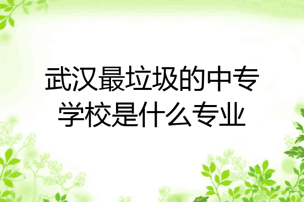 武汉最垃圾的中专学校是什么专业