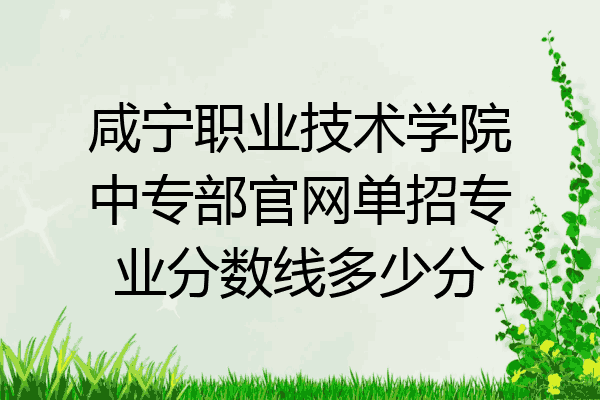 咸宁职业技术学院中专部官网单招专业分数线多少分
