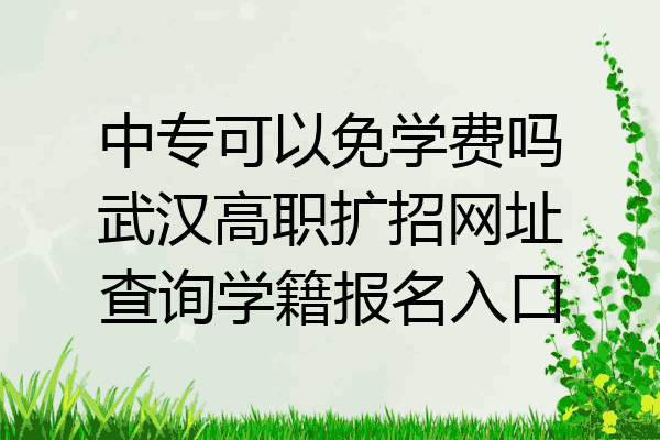 中专可以免学费吗武汉高职扩招网址查询学籍报名入口