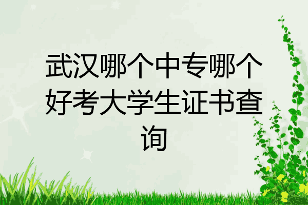 武汉哪个中专哪个好考大学生证书查询
