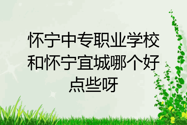 怀宁中专职业学校和怀宁宜城哪个好点些呀