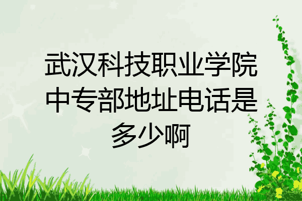 武汉科技职业学院中专部地址电话是多少啊