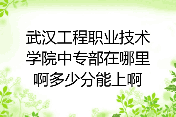 武汉工程职业技术学院中专部在哪里啊多少分能上啊
