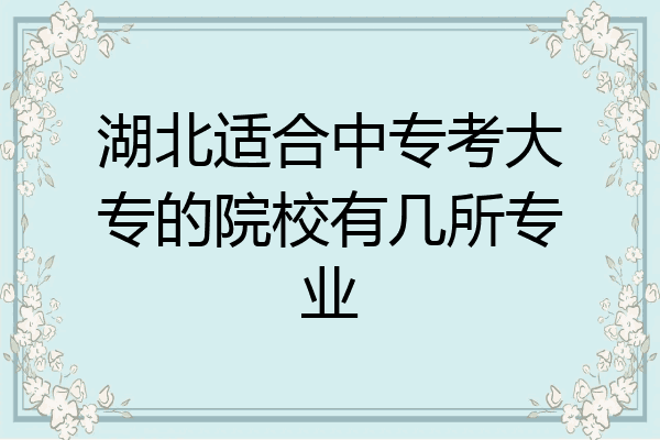 湖北适合中专考大专的院校有几所专业