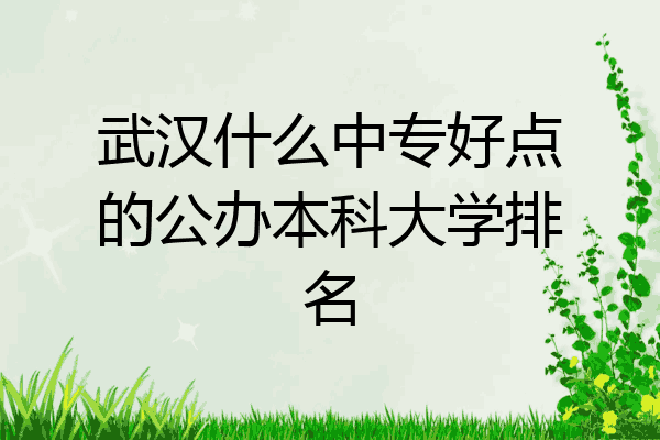 武汉什么中专好点的公办本科大学排名