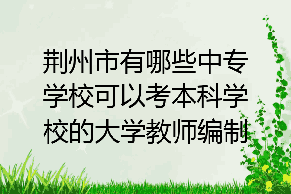 荆州市有哪些中专学校可以考本科学校的大学教师编制