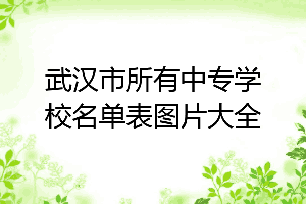 武汉市所有中专学校名单表图片大全