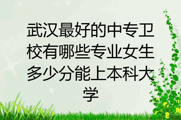 武汉最好的中专卫校有哪些专业女生多少分能上本科大学