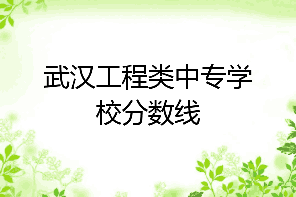 武汉工程类中专学校分数线
