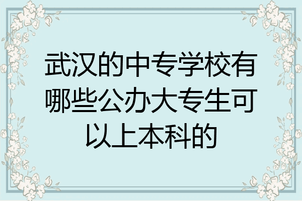 武汉的中专学校有哪些公办大专生可以上本科的