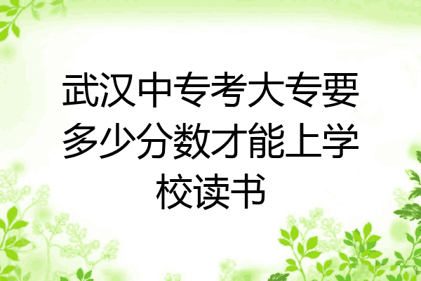 武汉中专考大专要多少分数才能上学校读书