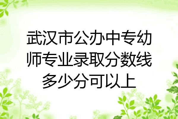 武汉市公办中专幼师专业录取分数线多少分可以上