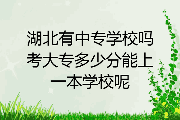 湖北有中专学校吗考大专多少分能上一本学校呢