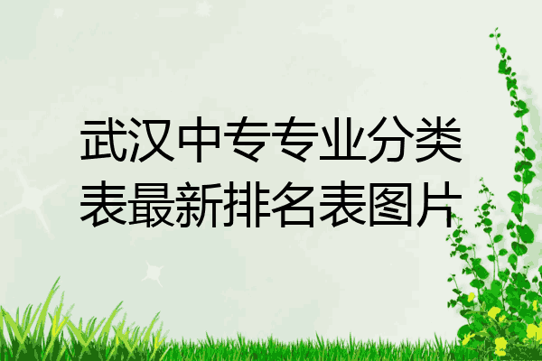 武汉中专专业分类表最新排名表图片