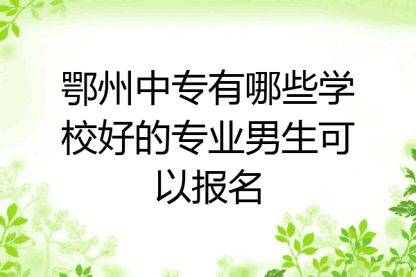 鄂州中专有哪些学校好的专业男生可以报名