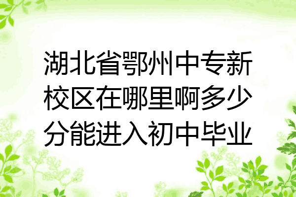 湖北省鄂州中专新校区在哪里啊多少分能进入初中毕业