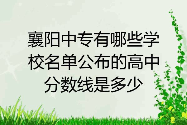 襄阳中专有哪些学校名单公布的高中分数线是多少