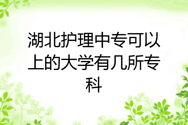 湖北护理中专可以上的大学有几所专科