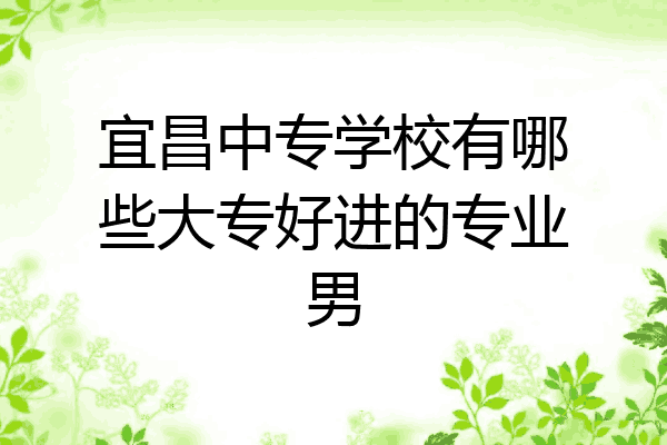 宜昌中专学校有哪些大专好进的专业男