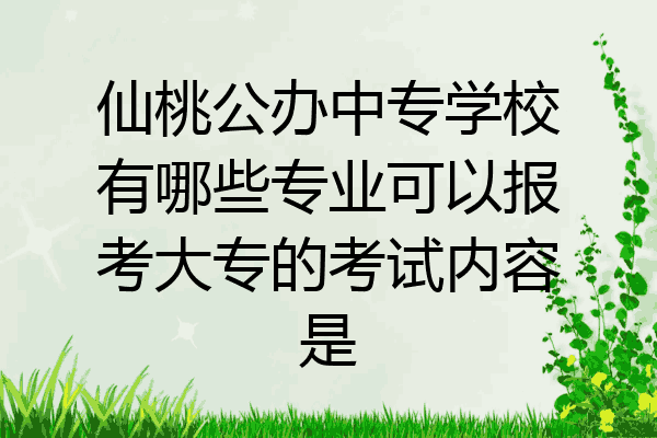 仙桃公办中专学校有哪些专业可以报考大专的考试内容是