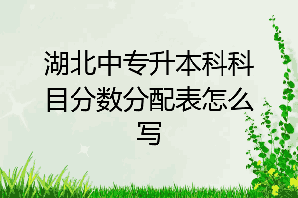 湖北中专升本科科目分数分配表怎么写