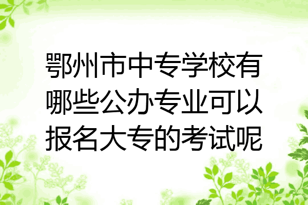 鄂州市中专学校有哪些公办专业可以报名大专的考试呢
