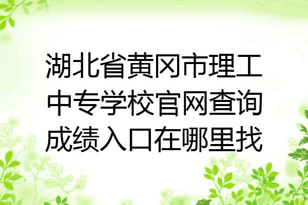 湖北省黄冈市理工中专学校官网查询成绩入口在哪里找